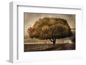 Autumnal Landscape-David Lorenz Winston-Framed Art Print