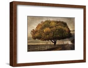 Autumnal Landscape-David Lorenz Winston-Framed Art Print