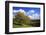 Autumnal Orchard Meadow at the Sauerberghof Near Sauerthal in the Nature Reserve Rhine - Taunus-Uwe Steffens-Framed Photographic Print