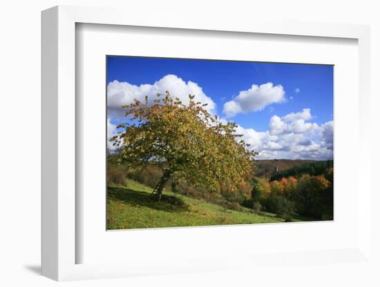 Autumnal Orchard Meadow at the Sauerberghof Near Sauerthal in the Nature Reserve Rhine - Taunus-Uwe Steffens-Framed Photographic Print