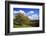 Autumnal Orchard Meadow at the Sauerberghof Near Sauerthal in the Nature Reserve Rhine - Taunus-Uwe Steffens-Framed Photographic Print