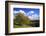 Autumnal Orchard Meadow at the Sauerberghof Near Sauerthal in the Nature Reserve Rhine - Taunus-Uwe Steffens-Framed Photographic Print