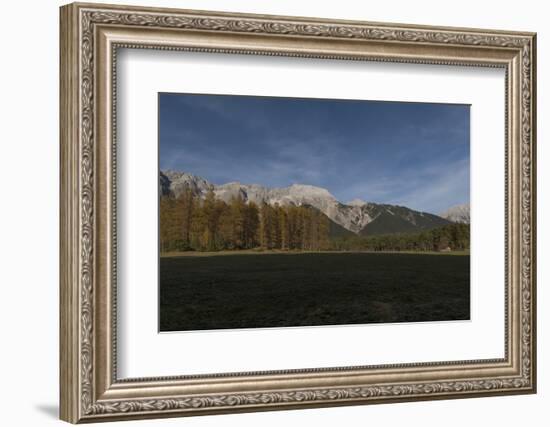 Autumnal Panorama with Burning Larches-Niki Haselwanter-Framed Photographic Print