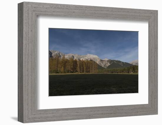 Autumnal Panorama with Burning Larches-Niki Haselwanter-Framed Photographic Print