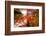 Autumnal Perspective-Philippe Sainte-Laudy-Framed Photographic Print