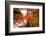 Autumnal Perspective-Philippe Sainte-Laudy-Framed Photographic Print