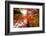 Autumnal Perspective-Philippe Sainte-Laudy-Framed Photographic Print