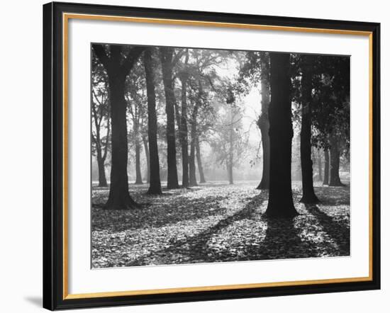 Autumnal Scene-null-Framed Photographic Print