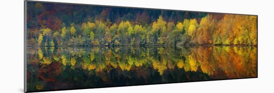 Autumnal Silence-Burger Jochen-Mounted Photographic Print