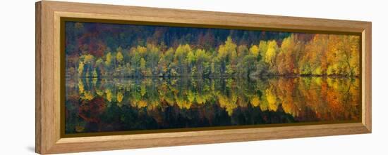 Autumnal Silence-Burger Jochen-Framed Premier Image Canvas