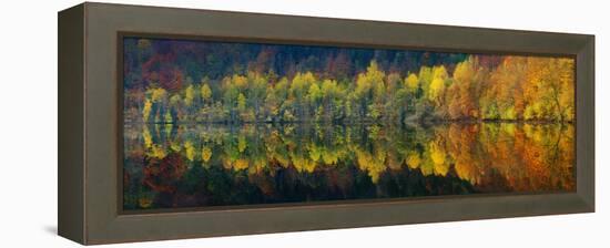 Autumnal Silence-Burger Jochen-Framed Premier Image Canvas