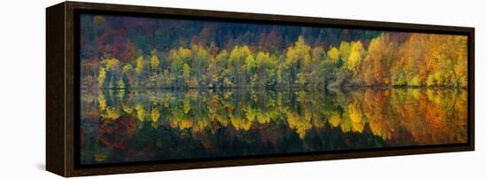 Autumnal Silence-Burger Jochen-Framed Premier Image Canvas
