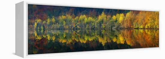 Autumnal Silence-Burger Jochen-Framed Premier Image Canvas