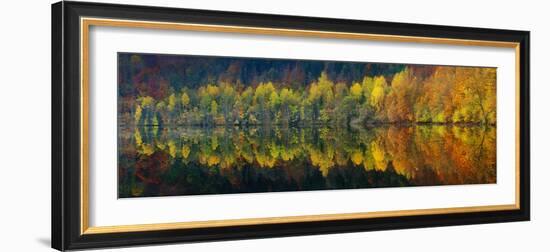 Autumnal Silence-Burger Jochen-Framed Premium Photographic Print