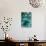 Autumnal Teal II-Daniela Savone-Photographic Print displayed on a wall