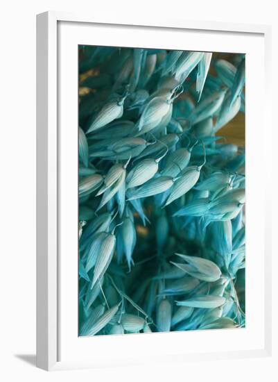 Autumnal Teal II-Daniela Savone-Framed Photographic Print