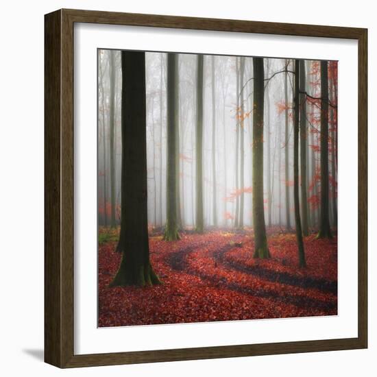 Autumnal Tracks-Carsten Meyerdierks-Framed Photographic Print