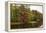 Autumnal trees along river, Muskoka, Ontario, Canada-Panoramic Images-Framed Premier Image Canvas