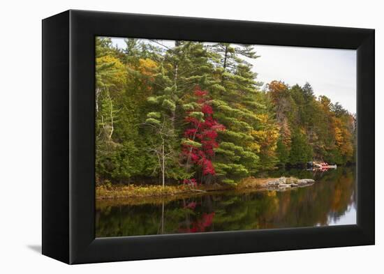 Autumnal trees along river, Muskoka, Ontario, Canada-Panoramic Images-Framed Premier Image Canvas