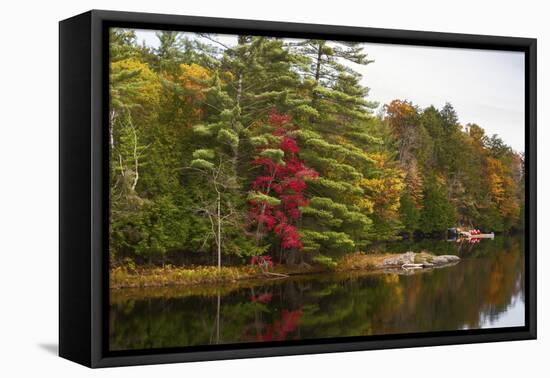 Autumnal trees along river, Muskoka, Ontario, Canada-Panoramic Images-Framed Premier Image Canvas