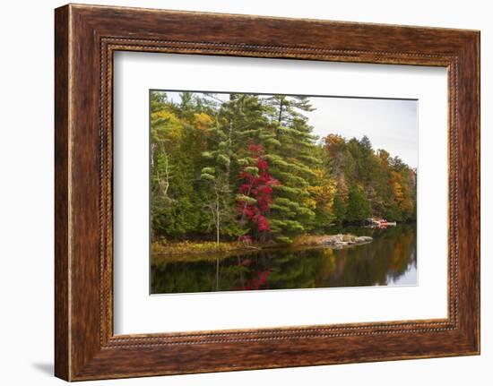 Autumnal trees along river, Muskoka, Ontario, Canada-Panoramic Images-Framed Photographic Print