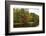 Autumnal trees along river, Muskoka, Ontario, Canada-Panoramic Images-Framed Photographic Print