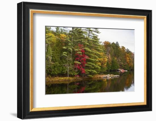 Autumnal trees along river, Muskoka, Ontario, Canada-Panoramic Images-Framed Photographic Print