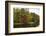 Autumnal trees along river, Muskoka, Ontario, Canada-Panoramic Images-Framed Photographic Print