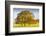 Autumnal trees in Chatsworth Park, Peak District National Park, Derbyshire, England, United Kingdom-Frank Fell-Framed Photographic Print