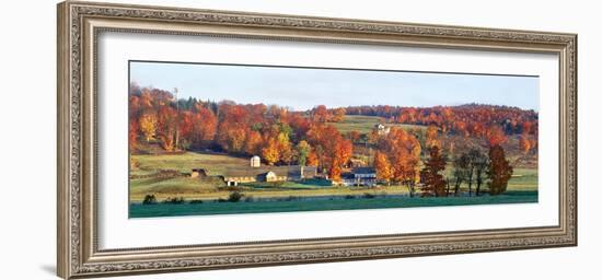 Autumnal trees in farm, Wilmington, Vermont, USA-Panoramic Images-Framed Photographic Print