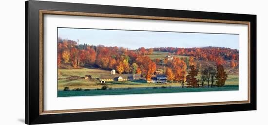 Autumnal trees in farm, Wilmington, Vermont, USA-Panoramic Images-Framed Photographic Print