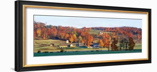 Autumnal trees in farm, Wilmington, Vermont, USA-Panoramic Images-Framed Photographic Print