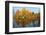 Autumnal trees reflecting in lake, Penzberg, Germany-Konrad Wothe-Framed Photographic Print