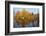 Autumnal trees reflecting in lake, Penzberg, Germany-Konrad Wothe-Framed Photographic Print