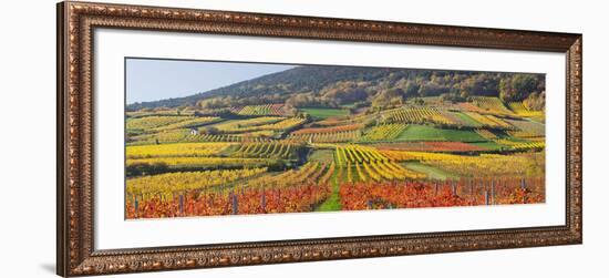 Autumnal Vines, Vineyards, Bathings Near Vienna, Southern Viennese Washbasin, Viennese Wood-Rainer Mirau-Framed Photographic Print