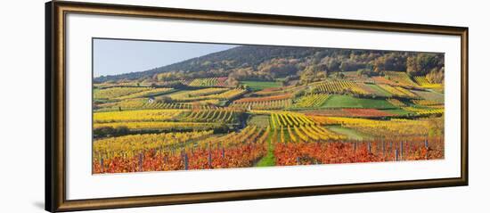 Autumnal Vines, Vineyards, Bathings Near Vienna, Southern Viennese Washbasin, Viennese Wood-Rainer Mirau-Framed Photographic Print