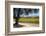 Autumnal Vineyards-Stuart Black-Framed Photographic Print