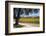 Autumnal Vineyards-Stuart Black-Framed Photographic Print