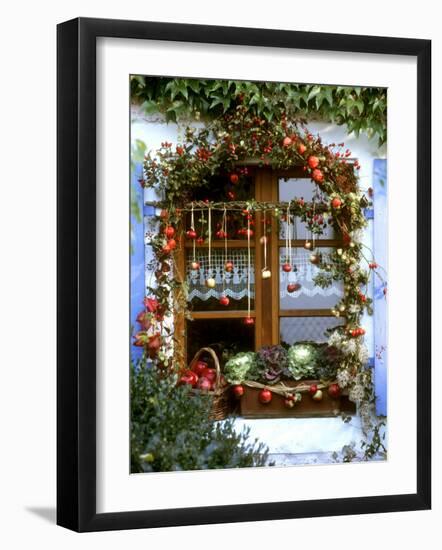 Autumnal Window Decoration with Apples and Cabbage-Roland Krieg-Framed Photographic Print