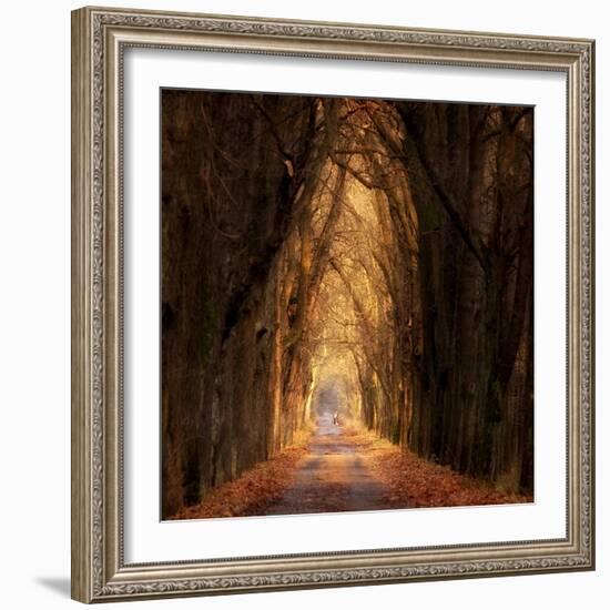 Autumnal-Marcin Sobas-Framed Photographic Print