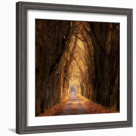 Autumnal-Marcin Sobas-Framed Photographic Print