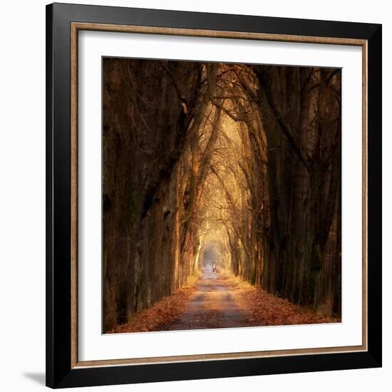 Autumnal-Marcin Sobas-Framed Photographic Print