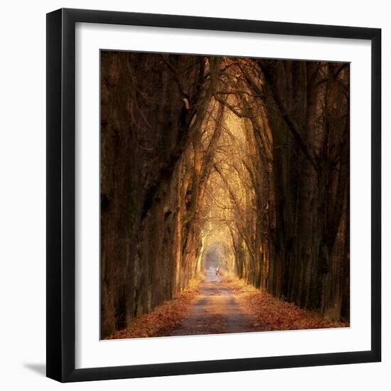 Autumnal-Marcin Sobas-Framed Photographic Print