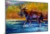 Autumns Glimpse Moose-Marion Rose-Mounted Giclee Print