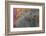 Autumns Progress-Doug Chinnery-Framed Photographic Print