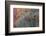 Autumns Progress-Doug Chinnery-Framed Photographic Print