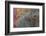 Autumns Progress-Doug Chinnery-Framed Photographic Print