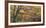 Autums Caress-Doug Chinnery-Framed Photographic Print
