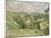 Auvers-Sur-Oise, Seen from the Val Harme, 1879-82-Paul C?zanne-Mounted Giclee Print