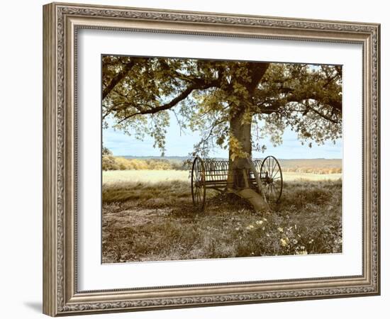 Aux Arbeils Oak-Colby Chester-Framed Photographic Print